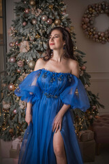 Winter holiday concept. Inspiration and fairy time. Woman near Christmas tree. Pretty nice lady in party dress, holidays days, magical night time