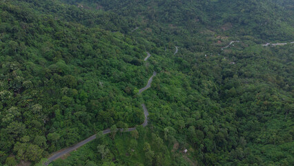 Road through green forest, aerial view road passing through forest in Aceh province, Indonesia