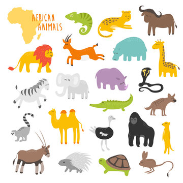 Vector illustration, african animals for kids, children clipart, tropical fauna. Cute style. Set for kids. African animal wildlife