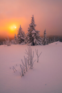 Rising Sun In The Cloudy Sky Over Snow-covered Fir Trees On A Mountaintop On A Winter Morning. Zuratkul National Park.