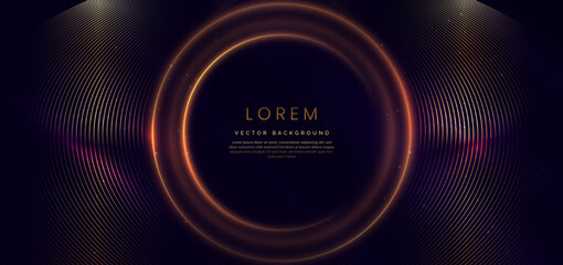 Luxury golden circle lines with border golden curve lines elegant and lighting effect on dark blue background.