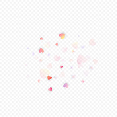 heart love vector confetti frame valentine pink