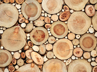 Beautiful wooden texture from saw cuts of trees of different diameters