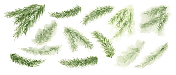 Pine branch, evergreen tree, fir, cedar watercolor. Winter green plants, holiday decoration. - obrazy, fototapety, plakaty