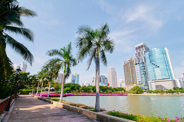 Modern megalopolis. City park with skyscrapers on the background. Bangkok Thailand.