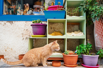 закрасить упаковку с краской для волос в витрине