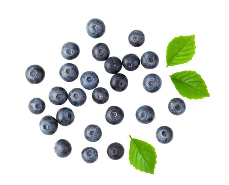 Blueberries and leaves isolated on transparent png