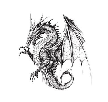 Dragon Drawing  StepbyStep Dragon Illustration Tutorial