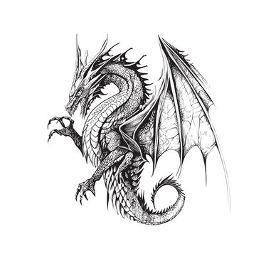 Dragon Sketch Images – Browse 29,707 Stock Photos, Vectors, and Video