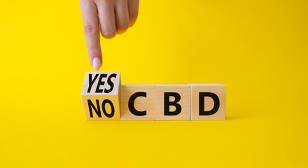 Yes or No CBD symbol. Businessman points at wooden cubes with words No CBD or Yes CBD. Beautiful yellow background. Business and Yes or No CBD concept. Copy space.