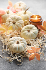 Autumn leaves and pumpkins over  grey concrete background