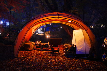 camp in the forest