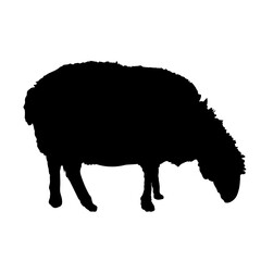 sheep silhouette - vector illustration