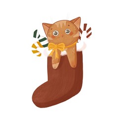 Cute cartoon ginger cat in Christmas sock