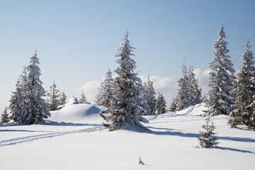 Obraz premium beautiful winter landscape with snowy fir trees