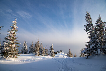 beautiful winter landscape with snowy fir trees