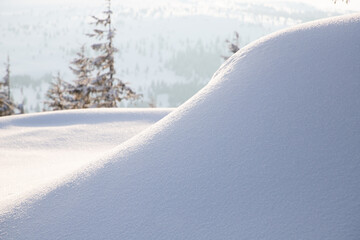 beautiful winter landscape with snowy fir trees