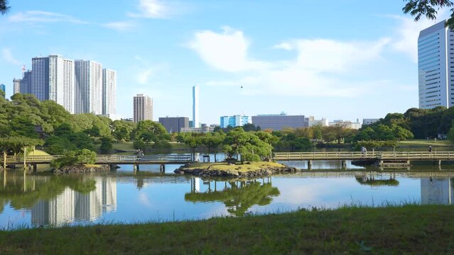 浜離宮恩賜庭園の風景動画