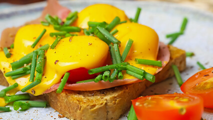 Closeup of one isolated brown open face toast brown bread sandwich with ham, chives, tomatoes gratinated melted cheddar cheese on china dish