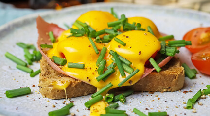 Closeup of one isolated brown open face toast brown bread sandwich with ham, chives, tomatoes gratinated melted cheddar cheese on china dish