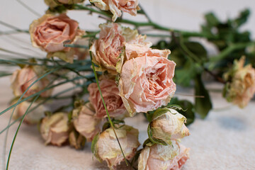 Bouquet of withered tea roses