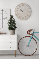 Interior of living room with bicycle, chest of drawers and small fir tree