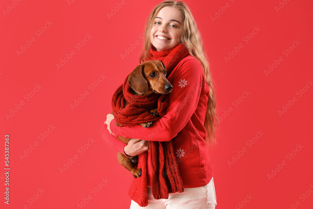 Canvas Prints young woman and dachshund dog with scarfs on red background