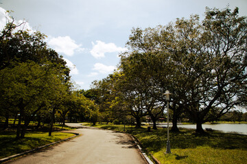 road in the park