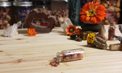 Agatized Coral With Quartz Crystals and Flowers on Meditation Table