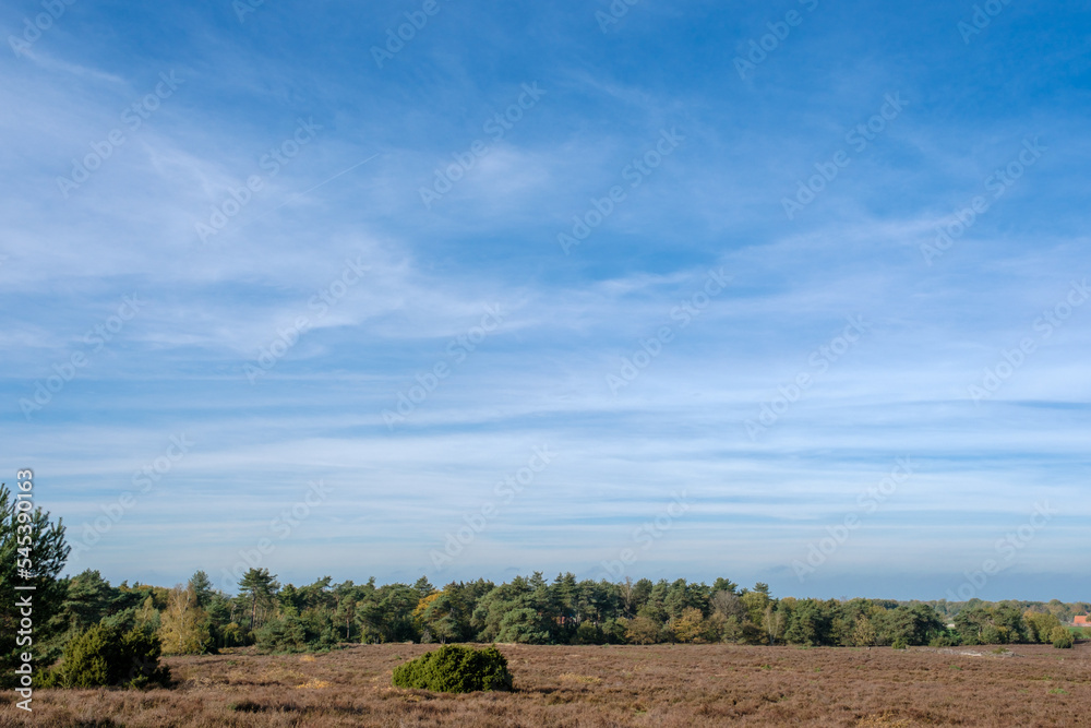 Canvas Prints Nature reserve Sallandse Heuvelrug