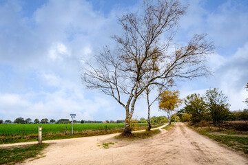 Nature reserve Sallandse Heuvelrug
