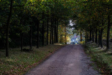 Nature reserve Sallandse Heuvelrug
