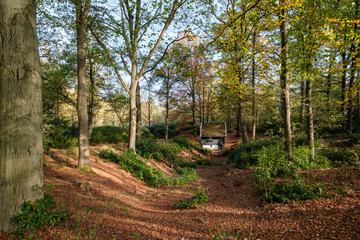 Nature reserve Sallandse Heuvelrug