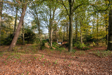 Nature reserve Sallandse Heuvelrug