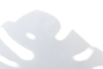 monstera leaf sunlight shadow on white wall background texture