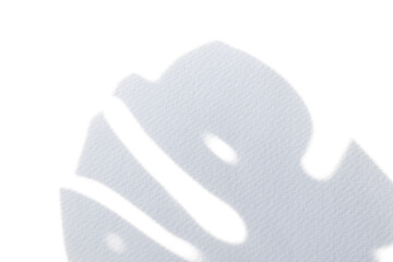 sunlight shadow monstera leaves on white beautiful wall background texture