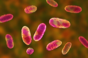 Fototapeta na wymiar Bacteria Aggregatibacter, illustration