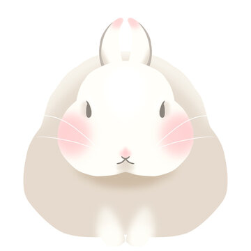 Clip art of white rabbit facing front