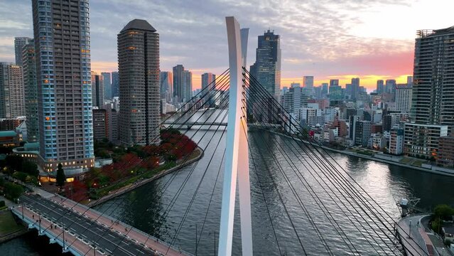 Aerial view of Tokyo at sunset, downtown Tokyo cityscape with modern skyscrapers and Sumida River, asian metropolitan city in the evening