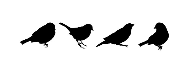 a set of silhouettes of sparrows, silhouettes of birds