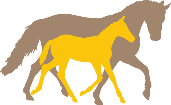 Foal trotting next to it's mother, yellow an brown silhouette illustrations isolated against white 