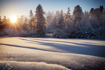 Gorgeous winter landscape, digital art