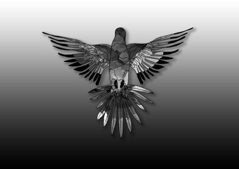 Abstract Bird Background, Black and white flying bird Wallpaper