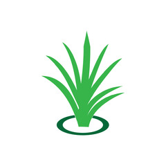 grass icon