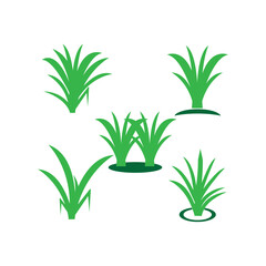 grass icon
