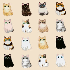 Pattern cat cat