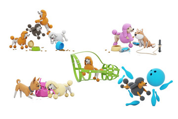 Cute pets in a variety of activities