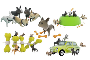 Cute pets in a variety of activities