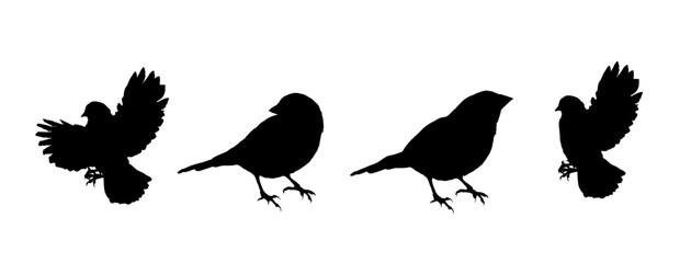 set of silhouettes of sparrows, silhouettes of birds