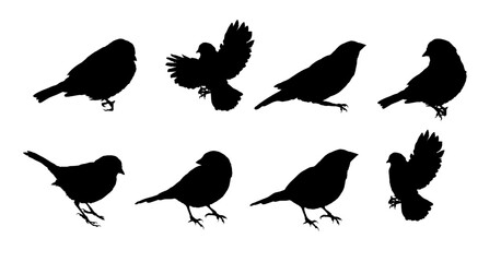 set of silhouettes of sparrows, silhouettes of birds